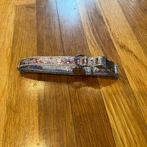 Packed Party "Throw Confetti" Dog Collar Small-FINAL PRICE